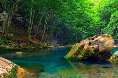 Streams Forest Stream Rocks Fishes Sunlight Places Birds Trees