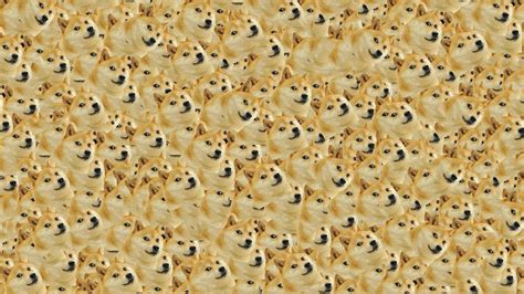 76 Doge Meme Wallpapers On Wallpaperplay Doge Meme Doge Doge Wallpaper
