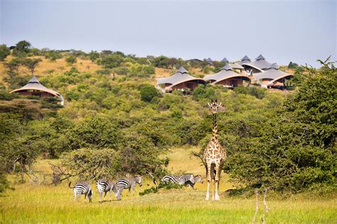 Three Night Stay At Sir Richard Bransons Luxury Safari