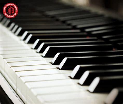 Đàn Piano Có Bao Nhiêu Phím Cách Phân Biệt Các Loại Phím đàn Piano Nhạc Cụ Minh Phụng