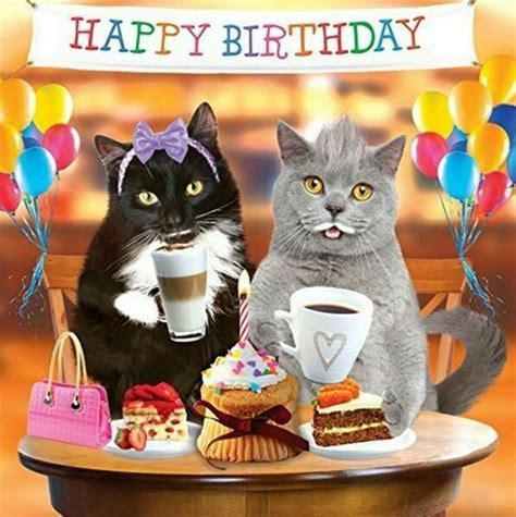 Celebrating Cat Happy Birthday Pictures Photos And Images For