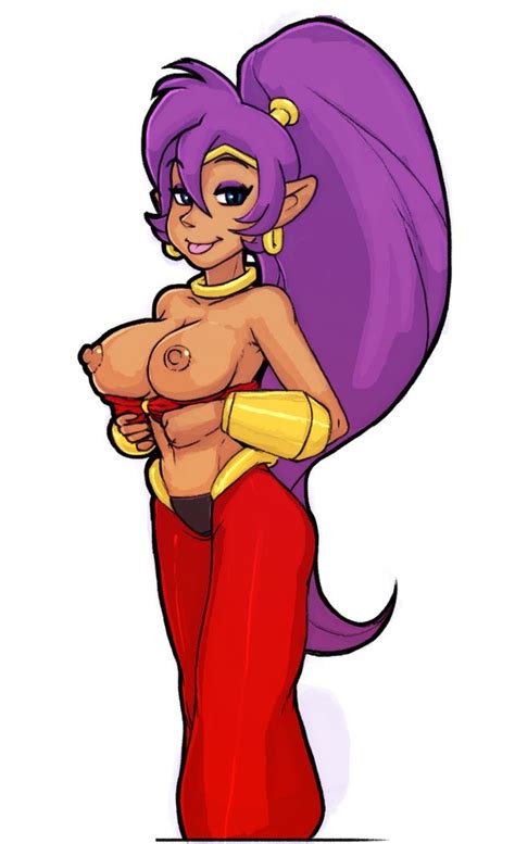 1854423 Misplacedlines Shantae Shantae Character Shantae And The