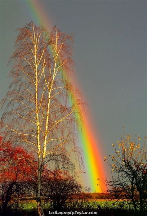 Lovely Nature Photographs Stunning Naturbilder Natur Regenbogen