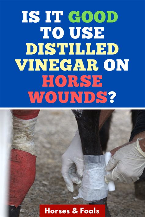 Is It Good To Use Distilled Vinegar On Horse Wounds Wound Ointment