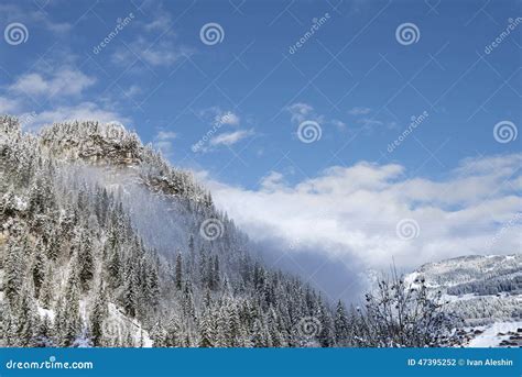 Scenic Alpine Landscape With Cone Forest On Rocky Mountain Stock Photo