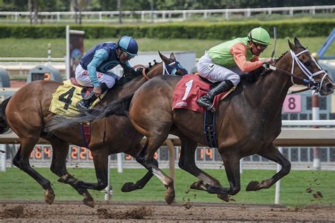 Carreras De Caballos En México Los Mejores Hipódromos Y Los Caballos