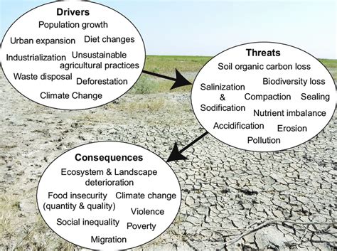 Soil Degradation The Process Of Soil Degradation Depicted By The Main
