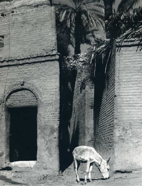 Paul Strand México En 1933 Straight Photography Study Photography