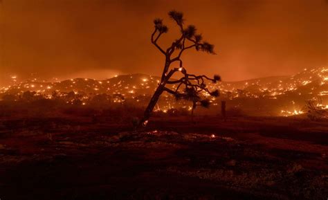 Bobcat Fire Burns Through 100000 Acres In La County The Hill