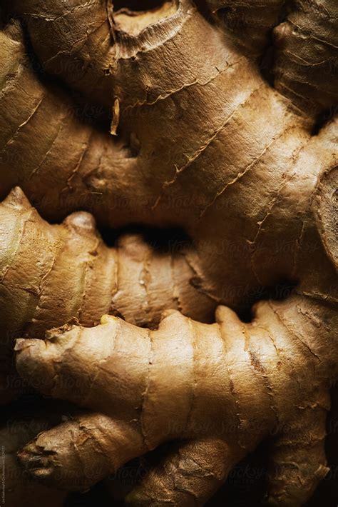 Ginger Root Closeup By Urs Siedentop And Co Ginger Root