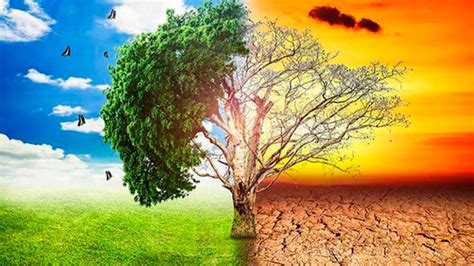 El Cambio Climático Causas Consecuencias Y Soluciones 🌎⚠️ 🌦️