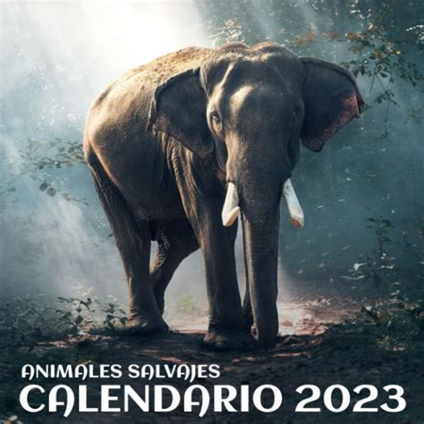 Buy Io 2023 Animales Salvajes Io De Pared Del 2023 Con Los Festivos