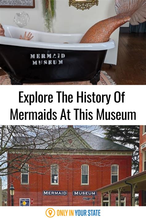 Theres A Mermaid Museum In Maryland And Its Full Of Fascinating