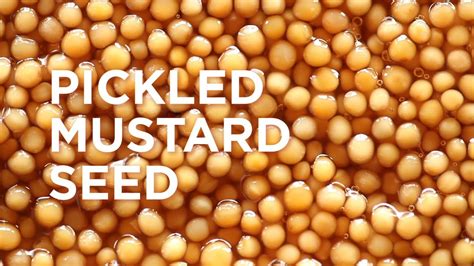 Pickled Mustard Seed Youtube