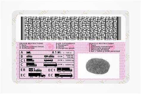 New South African Driving Licence Expiry Dates Explained