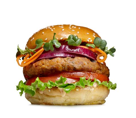 Veggie Vegan Burger Using Special Ingredients Easy