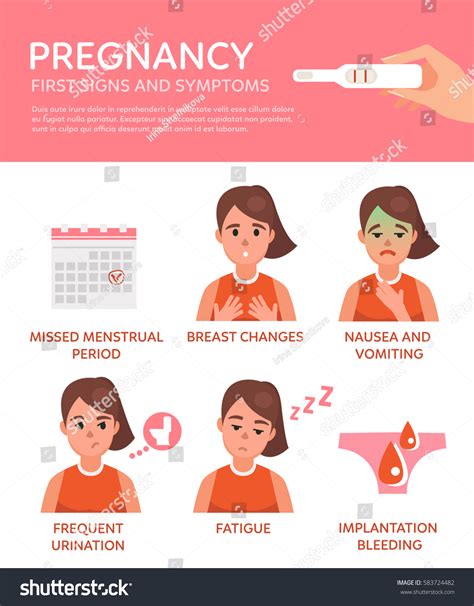Pregnancy Vector Infographic About Signs Symptoms Stock Vector Royalty