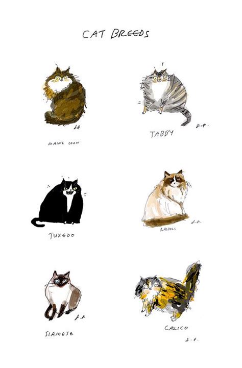 Cat Breeds Fine Art Print By Jamieshelman On Etsy 6000 Cat Posters