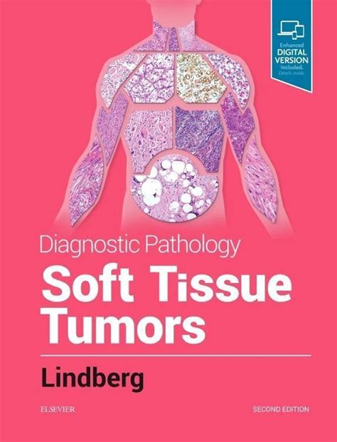 Diagnostic Pathology Soft Tissue Tumors Buch Versandkostenfrei Bestellen
