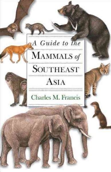 Sable Facts Animals Of Asia Worldatlascom
