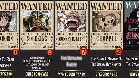 Straw Hat Pirates All Bounties Youtube