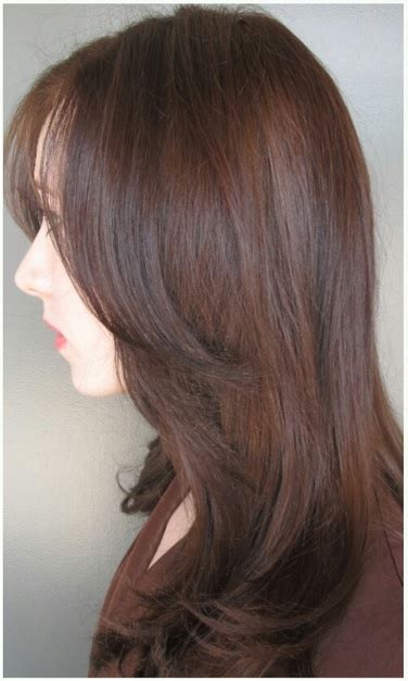Sable Hair Color Chart Dark Brown Hairs