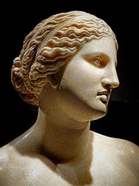 Bust Of Aphrodite Roman Copy Of 360 Bce Greek Original By Praxiteles