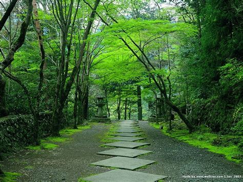 Download Garden Wallpaper Japanese In Kyoto Zen Of By Mwatson Zen Garden Wallpaper