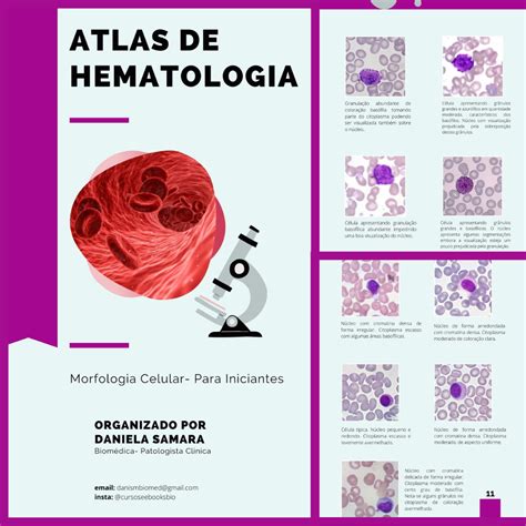 Atlas De Hematologia Para Iniciantes Daniela Samara De Sousa Hotmart