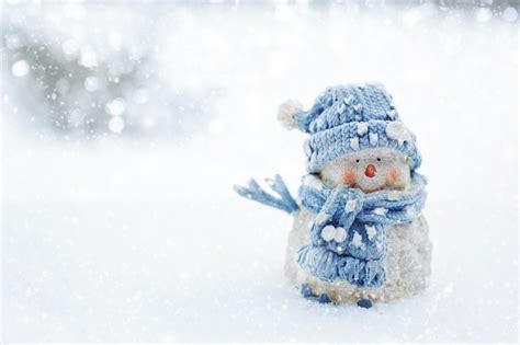 Free Images Cold Winter Frost Cute Weather Snowy