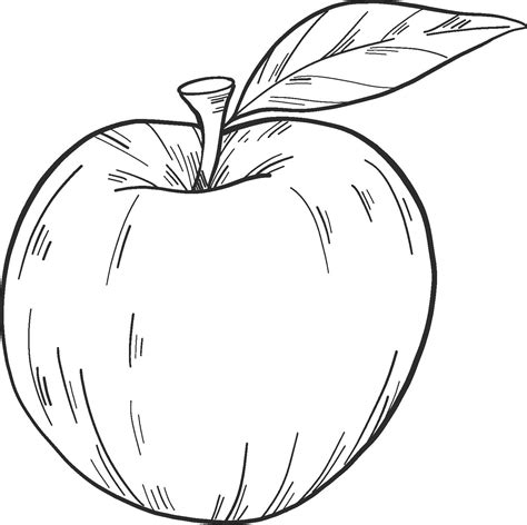 Apple 05 Of Apples Coloring Page