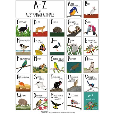 A Z Of Australian Animals Hb Book K And K Creative Toys