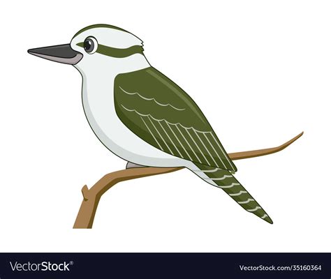 Kookaburra Bird On A White Background Royalty Free Vector