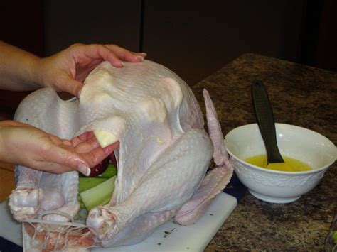 how to cook a turkey in a roaster oven women living well roaster ovens roaster recipes