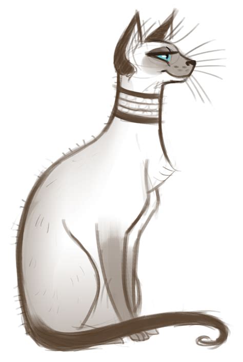 How To Draw A Siamese Cat British Shorthair