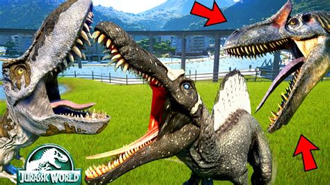 Now lets get the facts straight: I-Rex Vs Spinosaurus Vs T-Rex, Allosaurus, Giganotosaurus ...