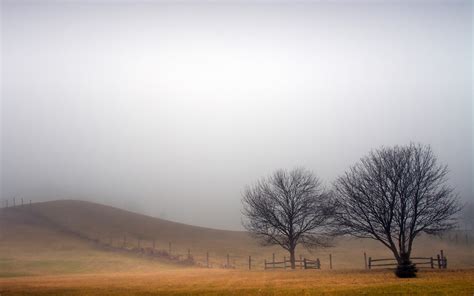 Wallpaper Landscape Fog Fence Field 1920x1200 Coolwallpapers