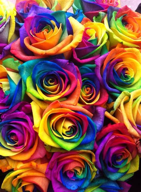 Rainbow Roses At Creative Designs Rainbowroses Rainbow Roses At