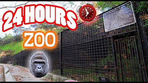 Voices 24 Hour Overnight In Abandoned Zoo Gone Wrong Scary