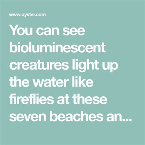 7 Bioluminescent Beaches And Bays Worth Visiting Oyster Beach
