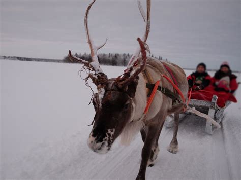 Visiting Lapland And Santa A Guide To Planning And Booking Your Holiday