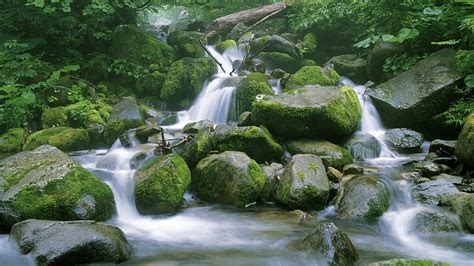 Hd Wallpaper Gentle Stream Nature Gravel Beautiful Rocks Moss