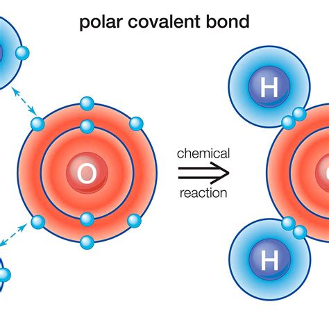 Polar nonpolar water molecules are angular in shape. Ch4 Polar Or Nonpolar Covalent Bond : Slides Show / Two of ...