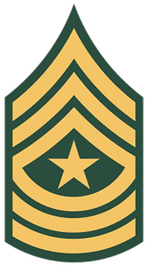 United States Army Command Sergeant Major E 9 E9 Rank Patch Tab