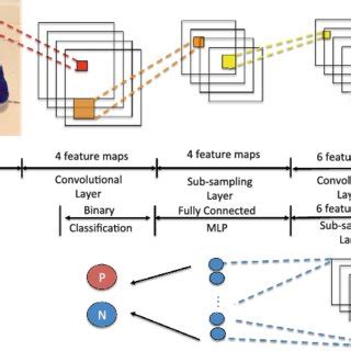 Convolutional Neural Network Download Scientific Diagram