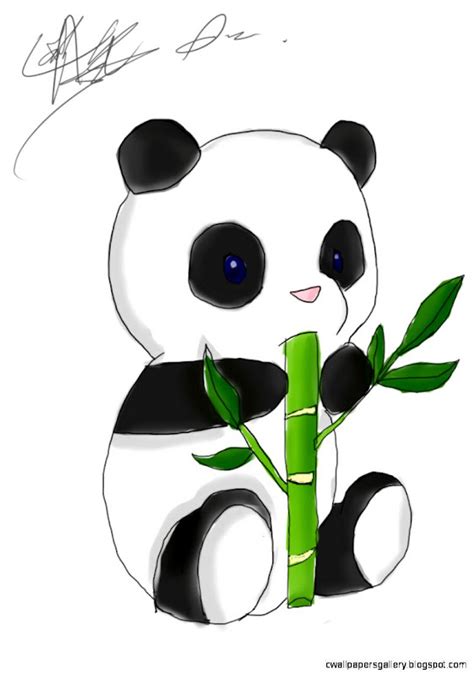 Chibi Panda Bear Wallpapers Gallery