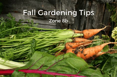 Your Fall Gardening Checklist For Zone 8b