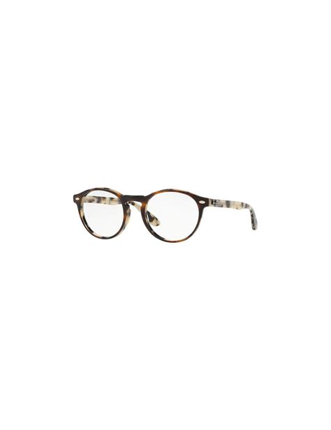 Eyeglasses Oliver Peoples Ov5427u
