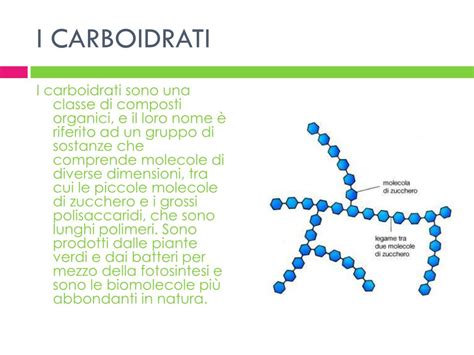 Cosa Sono I Carboidrati Biologia - PPT - DIETOLOGIA PowerPoint Presentation, free download - ID:7042446