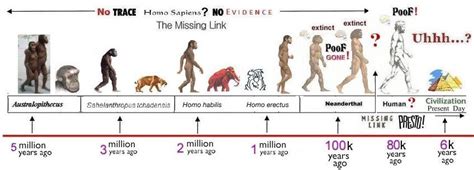 Time Line Of The Evolution Of Man Human Evolution History Timeline Evolution